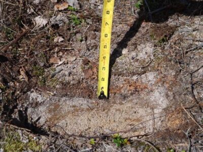 Transforming Precambrian-Shield Soil into Rich Garden Loam Image